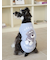 【CAT&DOG】ベビモコシュナウザージャガードプルオーバー