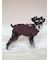 【CAT&DOG】ベビモコシュナウザージャガードプルオーバー