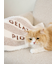 【CAT&DOG】ジェラートメランジ2ボーダーブランケット