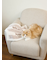 【CAT&DOG】ジェラートメランジ2ボーダーブランケット