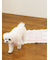 【CAT&DOG】ジェラートメランジ2ボーダーブランケット