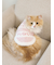【CAT&DOG】ジェラートメランジ2ボーダープルオーバー