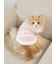 【CAT&DOG】ジェラートメランジ2ボーダープルオーバー