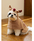【HOLIDAY】【CAT&DOG】トナカイケープ