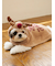 【HOLIDAY】【CAT&DOG】トナカイケープ