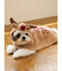 【HOLIDAY】【CAT&DOG】トナカイケープ