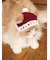 【HOLIDAY】【CAT&DOG】ベビモコサンタニットキャップ