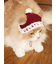【HOLIDAY】【CAT&DOG】ベビモコサンタニットキャップ