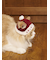 【HOLIDAY】【CAT&DOG】ベビモコサンタニットキャップ