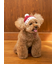 【HOLIDAY】【CAT&DOG】ベビモコサンタニットキャップ
