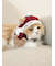 【HOLIDAY】【CAT&DOG】ベビモコベアマフラー