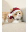 【HOLIDAY】【CAT&DOG】ベビモコベアマフラー