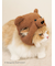 【Steiff】【CAT&DOG】ニットキャップ