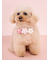 【CAT&DOG】スムーズィーフラワーモチーフチョーカー