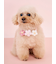 【CAT&DOG】スムーズィーフラワーモチーフチョーカー