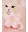 【CAT&DOG】フラワーモチーフねこじゃらし