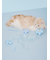 【CAT&DOG】フラワーモチーフねこじゃらし