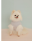 【CAT&DOG】ポメラニアジャガードプルーバー