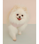 【CAT&DOG】ポメラニアジャガードプルーバー