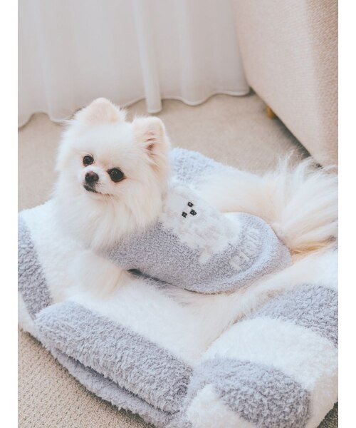 CAT&DOG】ポメラニアジャガードプルーバー｜ジェラートピケの通販