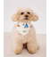 【SESAME STREET】【CAT＆DOG】バンダナ