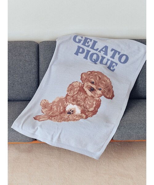 gelato piqueトイプードルジャガードブランケット ドッグジャガードブランケット｜ジェラートピケの通販｜&mall（アンド