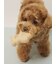 【CAT&DOG】アイスクリーム&ベア ラテックストイセット BOX付き