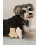 【CAT&DOG】アイスクリーム&ベア ラテックストイセット BOX付き