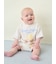 【BABY】アイスクリームベア柄ショートパンツ