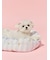 【CAT&DOG】【接触冷感】【抗菌防臭】 CoolingベッドS