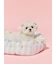 【CAT&DOG】【接触冷感】【抗菌防臭】 CoolingベッドS