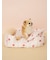 【CAT&DOG】【接触冷感】【抗菌防臭】 CoolingベッドS