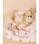 【CAT&DOG】【接触冷感】【抗菌防臭】 CoolingベッドS