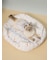 【CAT&DOG】【接触冷感】【抗菌防臭】 CoolingベッドS