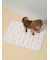 【CAT&DOG】【接触冷感】【抗菌防臭】 Coolingマット