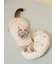【CAT&DOG】【接触冷感】 Coolingピロー