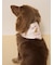 【CAT&DOG】サマーベア柄保冷剤入れバンダナ