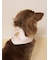【CAT&DOG】サマーベア柄保冷剤入れバンダナ