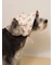 【CAT&DOG】サマーベア柄ハット