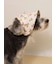 【CAT&DOG】サマーベア柄ハット