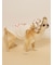 【CAT&DOG】サマーベア柄ハット
