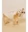 【CAT&DOG】サマーベア柄ハット