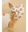【CAT&DOG】サマーベア柄ハット