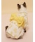 【CAT&DOG】浴衣