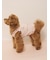 【CAT&DOG】【接触冷感】シロクマひんやりスイーツ柄 Coolingフリルプルオーバー
