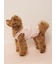 【CAT&DOG】【接触冷感】シロクマひんやりスイーツ柄 Coolingフリルプルオーバー