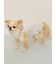 【CAT&DOG】【接触冷感】シロクマひんやりスイーツ柄 Coolingフリルプルオーバー