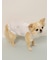 【CAT&DOG】【接触冷感】シロクマひんやりスイーツ柄 Coolingフリルプルオーバー
