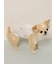 【CAT&DOG】【接触冷感】シロクマひんやりスイーツ柄 Coolingフリルプルオーバー