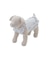 【CAT&DOG】【接触冷感】シロクマひんやりスイーツ柄 Coolingフリルプルオーバー